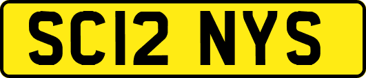 SC12NYS