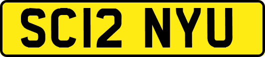 SC12NYU
