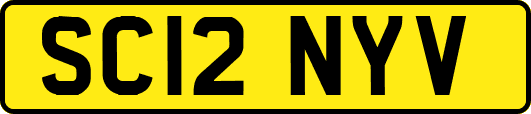 SC12NYV