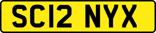 SC12NYX