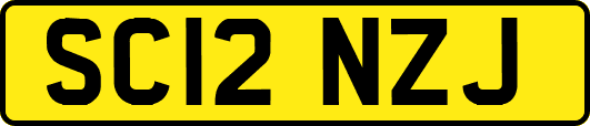 SC12NZJ