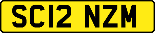 SC12NZM