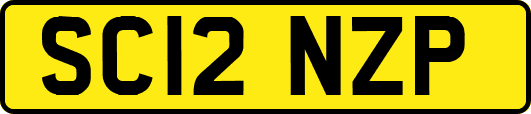 SC12NZP