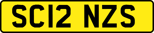 SC12NZS