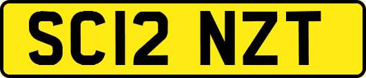 SC12NZT