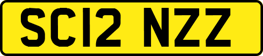 SC12NZZ
