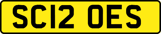 SC12OES