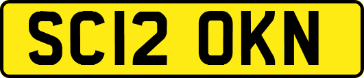 SC12OKN