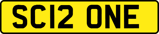 SC12ONE