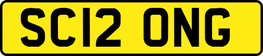 SC12ONG