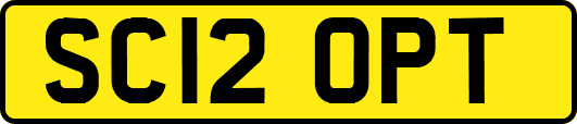 SC12OPT