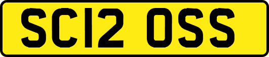SC12OSS