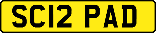 SC12PAD