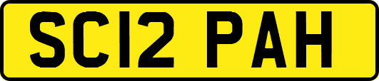 SC12PAH