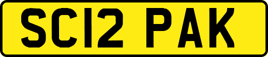SC12PAK