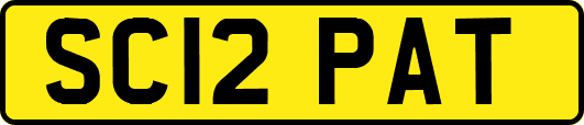 SC12PAT