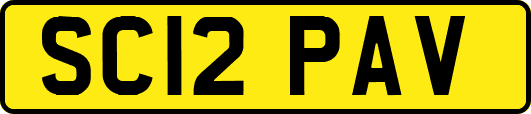 SC12PAV