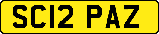 SC12PAZ