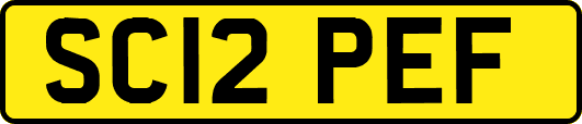 SC12PEF