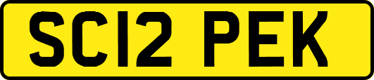 SC12PEK