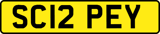 SC12PEY