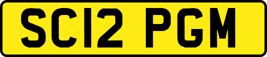 SC12PGM