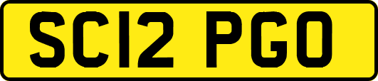 SC12PGO