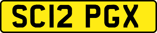 SC12PGX