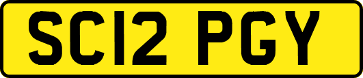 SC12PGY