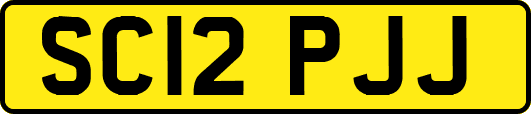 SC12PJJ