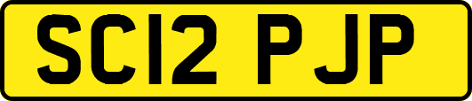 SC12PJP