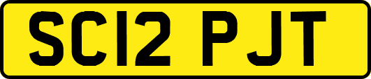 SC12PJT