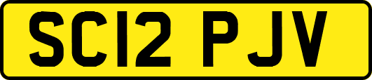 SC12PJV