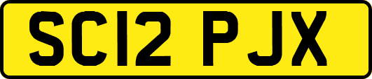 SC12PJX