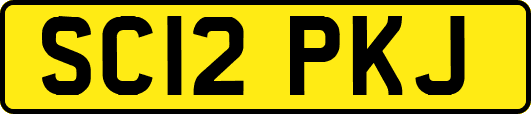 SC12PKJ
