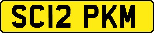 SC12PKM