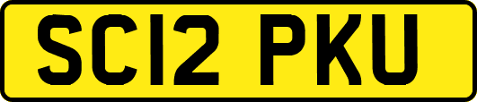 SC12PKU