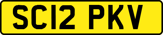 SC12PKV