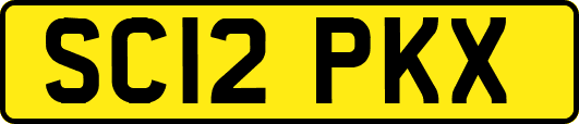 SC12PKX