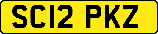 SC12PKZ