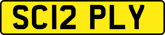 SC12PLY