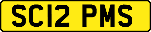 SC12PMS
