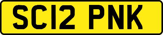 SC12PNK