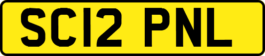 SC12PNL