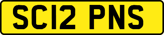 SC12PNS