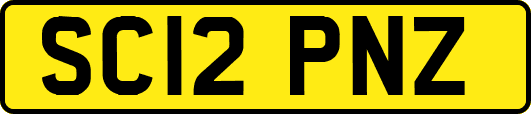 SC12PNZ