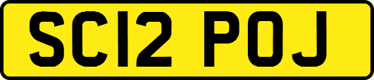 SC12POJ