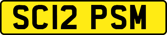 SC12PSM