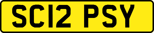 SC12PSY