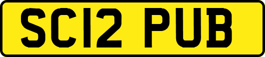 SC12PUB